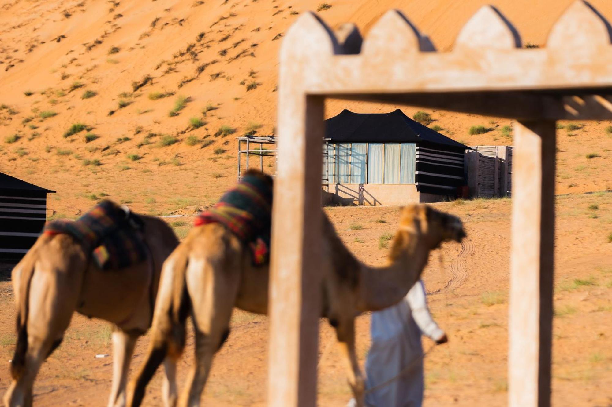 Thousand Nights Camp Shāhiq Værelse billede